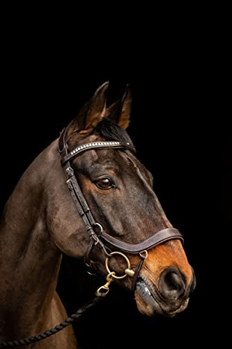 Equipride Anatomisches Zaumzeug mit rutschfestem Gummigriff (Pony, Braun)
