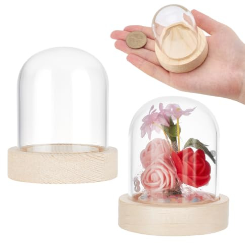 NBEADS 2 Sets Glass Display Dome, 2.42 in Diameter Round Glass Display Dome Glass Cloche Dome Clear Glass Display Dome Cover with Wood Base for Centerpieces Plants Rocks Specimens Decorations Crafts