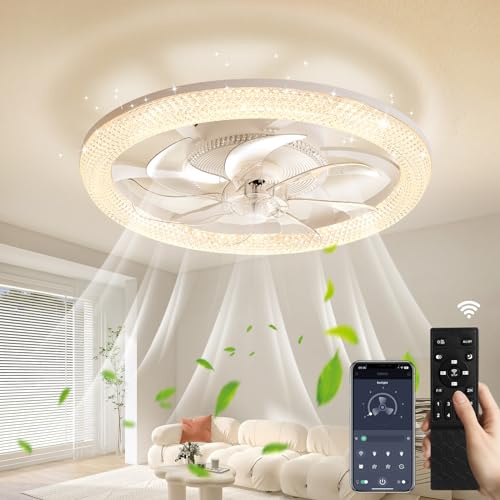 Sararoom 48cm Plafonnier Ventilateur, 3 Températures de Couleur Ventilateur De Plafond Avec Telecommande et Contrôle par Application, 6 Vitesses, Minuterie, Dimmable - pour Maison, Chambre à Coucher