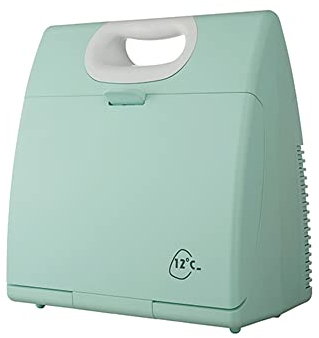 ZCBYBT Portable Beauty Fridge 4.5L Mini Fridge Mute Constant Temperature Makeup Refrigerator for Skincare& Cosmetics, for Women & Girls,Green