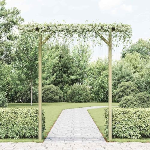 Ziaphsol Träträdgårdspergola, 205 x 40 x 203 cm, grönimpregnerad med 2 stolpar, rosbåge, växtstöd för klätterväxter, som spaljé, lövgång, entré, insynsskydd