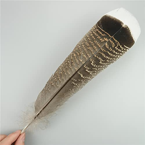 RAEF 10Pcs/Lot Natural Eagle Feathers for Crafts Plume Headdress Accessories Holiday Decoration Carnival Feather DIY Handicraft Decor