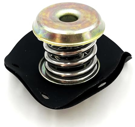 Diafragma regulador de presión de combustible 17110851 para Chevrolet Chevy Camaro Pontiac Firebird Bui-ck Cadillac 1985-1995