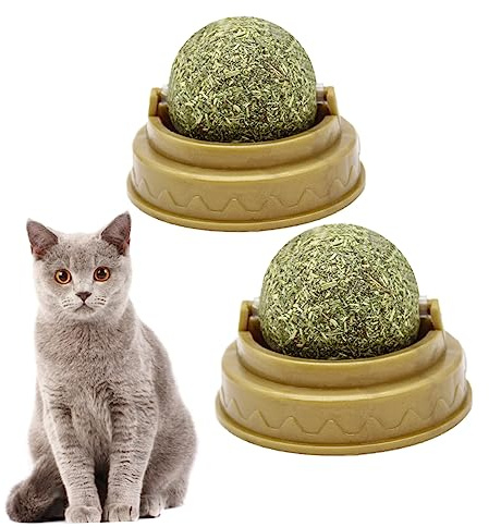 Katzenminze Ball 2 Stück Essbarer Katzenbissball aus Kunststoff und Minze