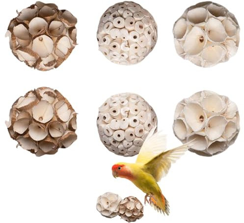 Vogelfutterspielzeug, natürliches Vogelspielzeug Set, 6 Kauspielzeug für Ara, leichte Futterbälle für Vögel, Hamster und Rennmäuse