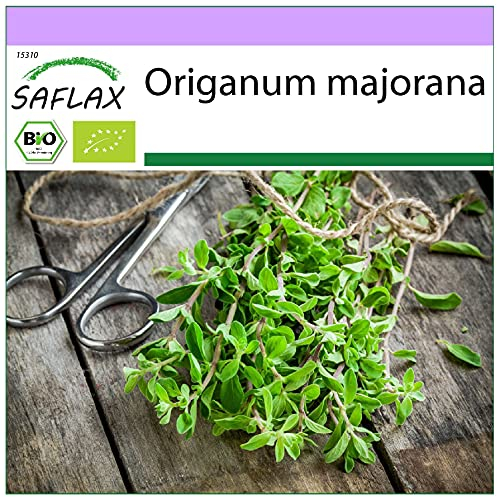 SAFLAX - Organic - Marjoram - 700 Seeds - Origanum majorana
