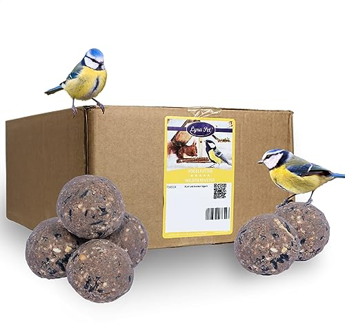 Lyra Pet® | 50 Gourmet Meisenknödel ohne Netz à 80 g | Energiespender für Wildvögel | Nährstoffreiches & Fetthaltiges Wildvogelfutter | Kraftspendendes Fettfutter | Vogelfutter für Sommer & Winter