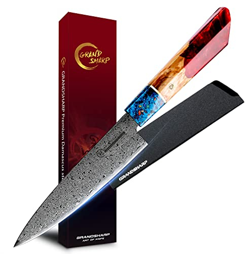 Grandsharp Damascus 5.5 Inch Paring Knife - VG-10 67 Layers Damascus Steel Fruit & Vegetable Peeling Knife with Resin Handle for Home, Kitchen & Restaurant