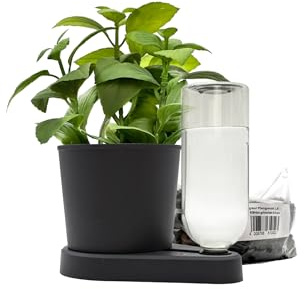 greevi Kräuterheld & 1l Pflanzgranulat | Selbstbewässernder Pflanztopf für Küchenkräuter | Made in Germany | Kunststoff (Standard/PET-Flasche, schwarz)