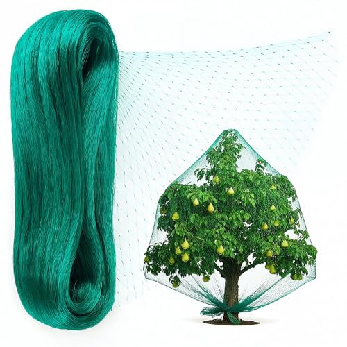 Rete di protezione per uccelli 2 x 5 m – Rete resistente contro gli uccelli per piante e giardino – Rete per alberi da frutto verde resistente ai raggi UV – Rete di protezione delle piante per arbusti