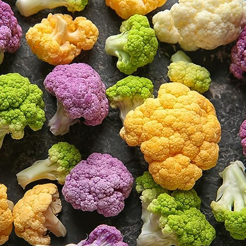 semillas de coliflor, balcón invernadero interior decoración 225pcs