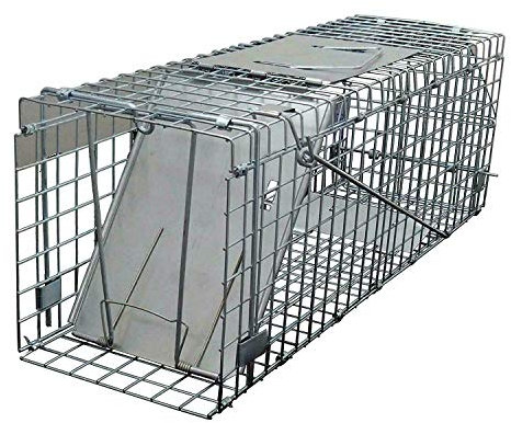 Autofather Rat and Squirrel Cage Trap, Humane Live Trap Mouse Cage Trap Large for Indoors and Outdoors (Easy to Bait and Set, Long-Lasting Galvanised Mesh)