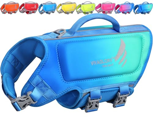 VIVAGLORY Hunde Schwimmweste High Buoyancy Hundeschwimmweste, M, Türkis