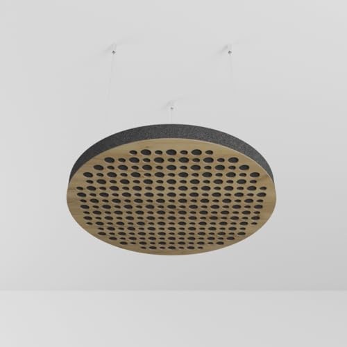 Lot de 2 panneaux acoustiques montés au plafond avec kit de montage | Panneaux insonorisants et diffusants | Réduction d'écho | Traitement acoustique | Couleur : (Chêne, CIRCLES)