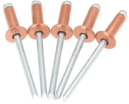 Aqxypas 30/50 Stück Kupfer-Blindnieten, offene Kuppelkopfnieten aus bronzefarbenem Kupferstahl (Size : 30Pcs, Color : 4.8x25 mm)