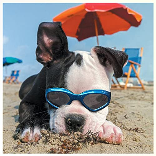PETLESO Hundebrille Stilvolle Haustier Sonnenbrille Anti-Beschlag Wasserdicht Winddicht Augenschutz Anti-UV Schutzbrille für Kleine/Mittelgroße Hunde, Blau