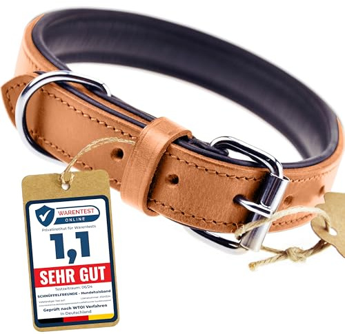 Schnüffelfreunde Halsband für Hunde aus Leder, Hundehalsband für den großen, mittleren und kleinen Hund, Lederhalsband gepolstert, robust (S - 24-30cm, Beige)