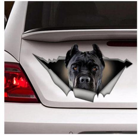 GAETOYEN Autoaufkleber Hund Personalisiert 17Cm Schwarz Cane Corso, Haustier Aufkleber, Schwarz Cane Corso Aufkleber