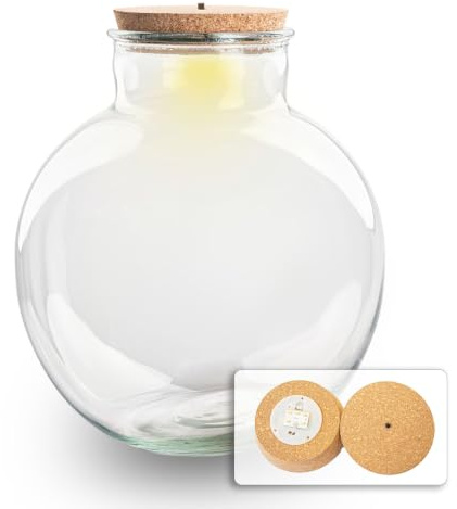 Terrarium avec Lampe - Terrarium fermé ↑ 30 cm