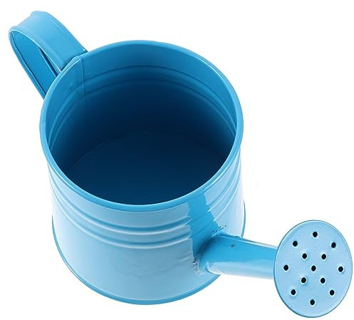 Abaodam Arrosoir Fer pour Plantes Intérieures et Extérieures Pot Arrosage pour Bonsaïs et Fleurs de Jardin