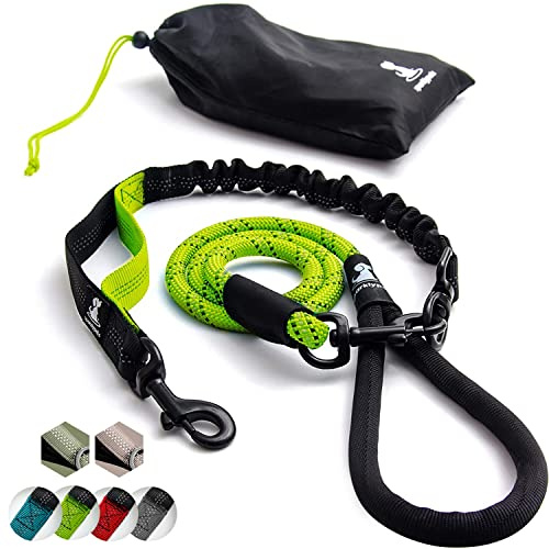 Hundeleine mit Bungee Verlängerung für Große und Mittelgroße Hunde mit Ruckdämpfer | Reflektierende Elastische Hundeleine zum Spazierengehen (Grün, Für 1 Hund)