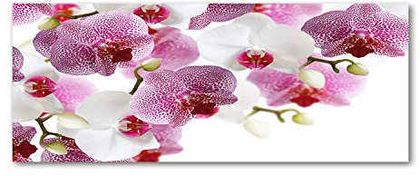 Tulup Glas-Bild Wandbild aus Glas - Wandkunst - Wandbild hinter gehärtetem Sicherheitsglas - Dekorative Wand für Küche & Wohnzimmer 125x50 - Blumen & Pflanzen - Orchidee - Rosa