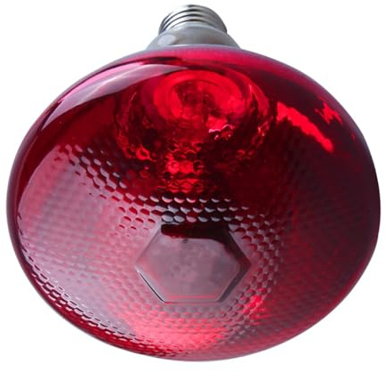 51buyoutgo 250W Thickened Infrared Heat Lamp Bulb for Puppies Reptiles Chicks Tortoise Poultry Dog, Puppy Reptile Heat Lamp, Chicken Basking Bulb Red
