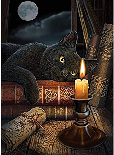 YUNLINZI Malen nach Zahlen Kits für Erwachsene auf Leinwand Home Decoration Art Picture Gift -Tier Hexe Schwarze Katze,16x20inch