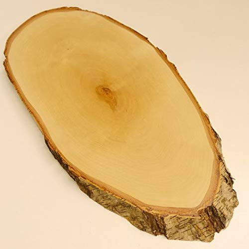GTK - Geweihe & Trophäen KRUMHOLZ Birke Rothirsch AF 40 cm Hirsch Schild Trophäenschild Geweih Baumscheibe Baumschild Natur Holz modern