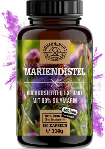 Mariendistel Kapseln 1500mg -WICHTIG: 25:1 Extrakt (=37500mg reines Mariendistel pro Tagesdosis) +80% Silymarin -Silymarin Hochdosiert- Laborgeprüft und Vegan -DE- SCHEUNENGUT®