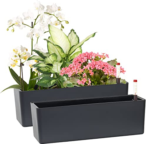 GardenBasix Elongated Self Watering Planter Pots 2-Pack Window Box 5.5 x 16 inch Indoor Home Garden Modern Decorative Pot for All House Plants Flowers Herbs (Dark Grey,2)