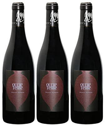 Saumur-Champigny Outre Terre - Cuvée en Amphore - Rouge 2018 - Domaine des Roches Neuves - Vin Rouge du Val de Loire (3x75cl) BIO