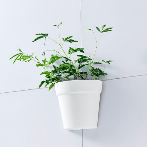 HERCHR Jardinière Suspendu Mural, 8x16.3x14.7 cm Plastique à Demi-Rond Moutien Pot de Fleur Conteneur de Plante avec Autocollant adhésif pour décoration intérieure Pot Succulent