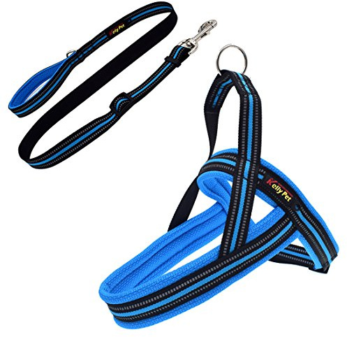 Welpengeschirr Hundegeschirr Reflektierende Brustgeschirre Training Laufgeschirre Sicher Vest für Kleine Mittlere und Große Hunde No-Pull-Geschirr Verstellbares mit Hundeleine (XS, blau)