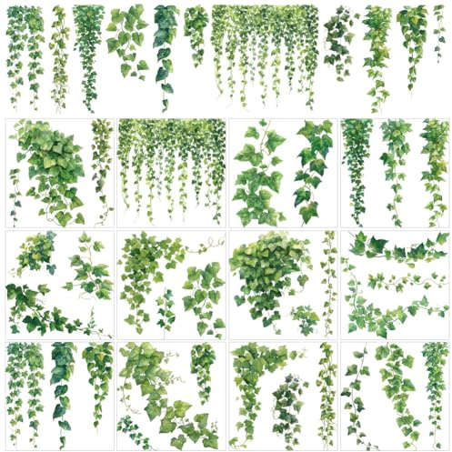 AHANDMAKER 12 Sheets Beautiful Green Ivy Leaves & Vine Rub On Transfer Stickers Green Plants Windows Decorative Transfer Stickers for Study Room, Bookstore, Coffee House Home Décor, 5.5x5.5
