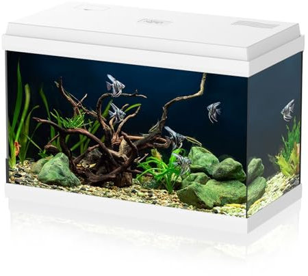 AQPET Acquario in Vetro per Pesci Tropicali Completo di Accessori Filtro Luce Simply, 60 59x30x39 cm 60 Litri, Bianco