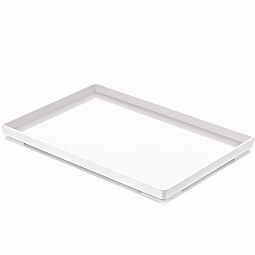 Bol à Nourriture pour Reptile OMEM Grand Plat d'Eau, Plat d'Alimentation, Bol pour Tortue (XL, Blanc Lisse)