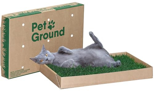 PetGround Empapador Ecológico para Gatos, Alfombrilla de Césped Natural, Inodoro, Reutilizable, Caja Impermeable, Standard (60cm x 40cm)