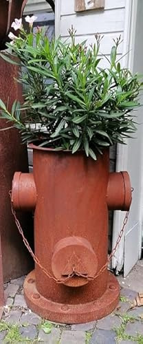Generisch NEU !! Detailgetreuer Deko Hydrant ca. 65 cm hoch aus Metall in Edelrost für den Garten Vorgarten Bepflanzbar Deko Blumenkübel Pflanztopf