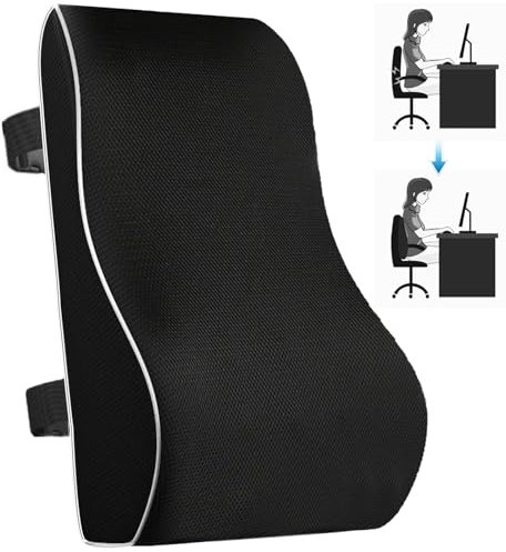 Raxfekro Ergonomisches Rückenkissen aus Memory Foam, Lesekissen für Bürostuhl Autositz, Rückenpolster für Back Support, Lendenkissen für Rollstuhl mit antistatischem, Hautfreundlichem Bezug