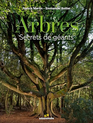 Arbres, secrets de géants