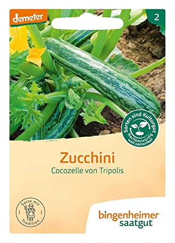 BINGENHEIMER Saatgut, Zucchini, Cocozelle von Tripolis