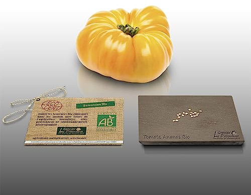 15 graines à semer - Le Grenier d'Abondance - TOMATE Ananas Bio - Certifié AB - Solanum lycopersicum