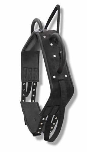 AMKA Voltigiergurt/Longiergurt Leder/Synthetik mit 2 runden Griffen und 2 Beinschlaufen und Bauchgurt