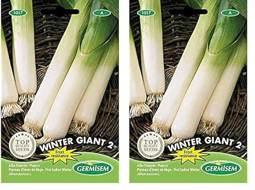 Germisem Winter Giant 2 Semillas de Puerro 4 g (Paquete de 2)