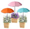 3uds Sombrillas Plantas de Exterior, 3 Colores Diámetro de 60cm Sombrilla Proteccion Planta para Proporcionar Sombra para Proteger las Flores Plantas Frutas y Verduras del Patio del Sol Abrasador