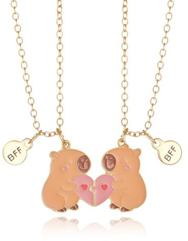 FloralGrace 2 Pièces Collier d’Amitié Capybara, Colliers pour 2 Filles, Meilleures Copines Pendentifs Cœur Mains Assortis, Breloque Capybara (E)