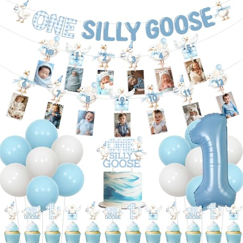Wonmelody Goose First Birthday Decorations for Boy One Silly Goose Banner Garlands Goose Cupcake Toppers Blue Monthly Photo Banner Farm Animal First-Birthday Supplies for Funny Goose 1st Bash