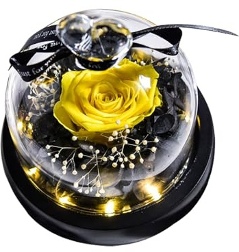 Preserved Real Rose With LED Light Eternal Flowers Rose For Mom Grandma Wife On Mothers Day Birthday Valentines Christmas And Thanksgiving.Preserved Roses In Box Large Garden Gnomes (Yellow, One Size)