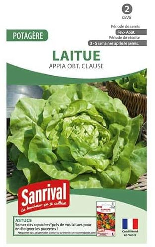 Graines Laitue 3 saisons